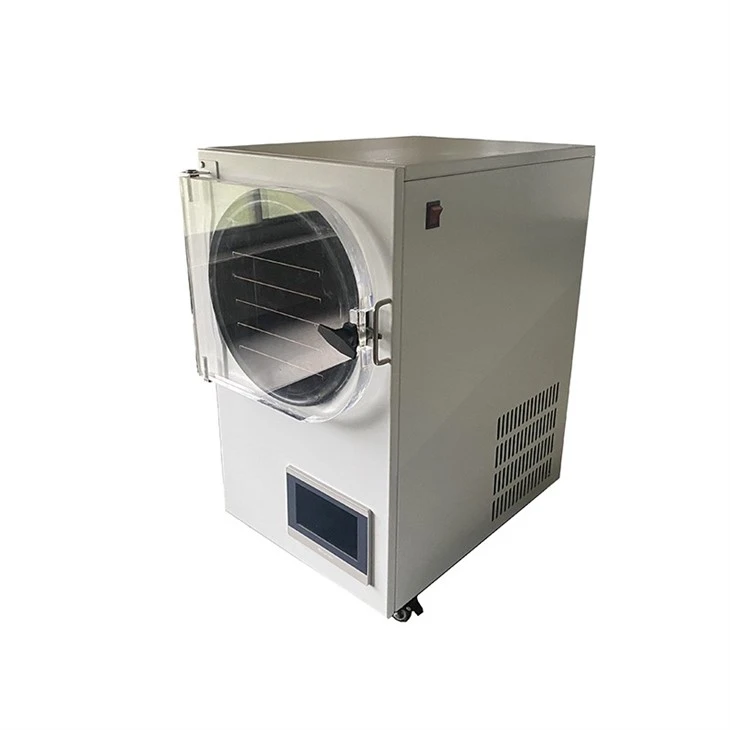 Lemon Freeze Dryer With Pump
